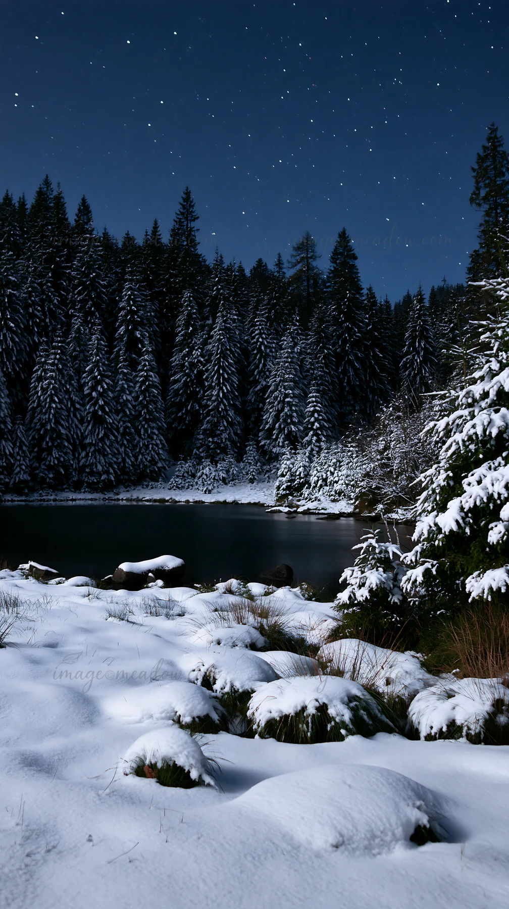 A lakeside meadow covered in snow, with frosty rocks and tall pine trees surrounding the area. The night sky is filled with stars, creating a quiet atmosphere i