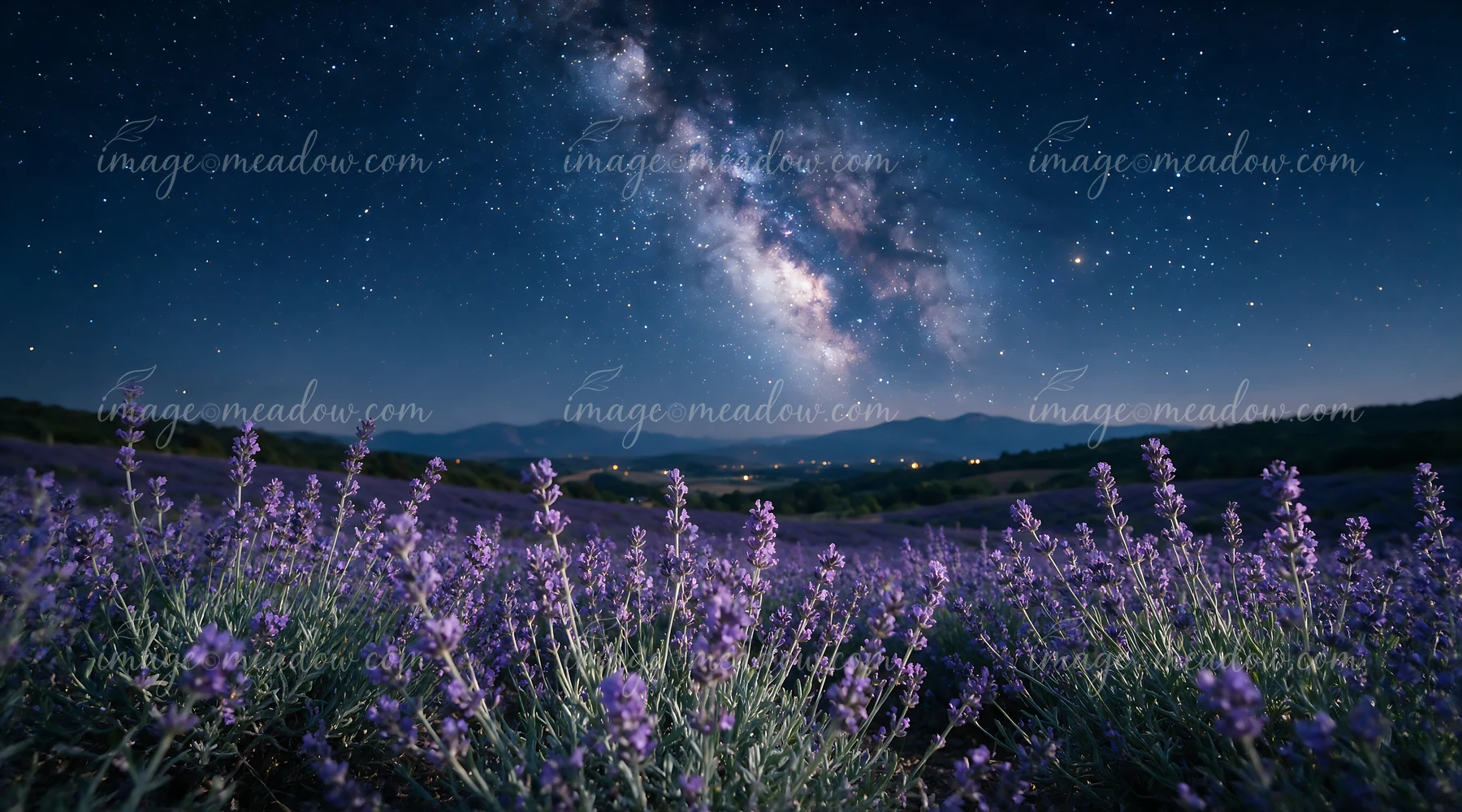 Stars shine brightly over a lavender field during the night.