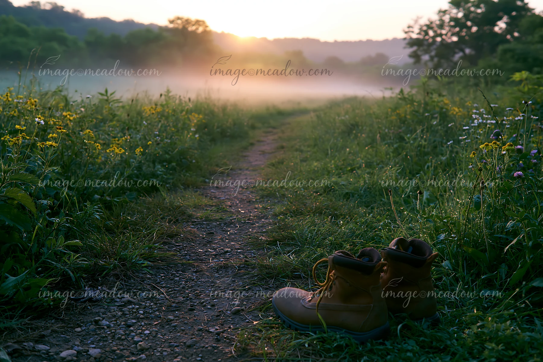 Sunbeams over a misty meadow shine down on boots beside a dirt path, surrounded by tall grass and wildflowers during early morning light as the sun rises above