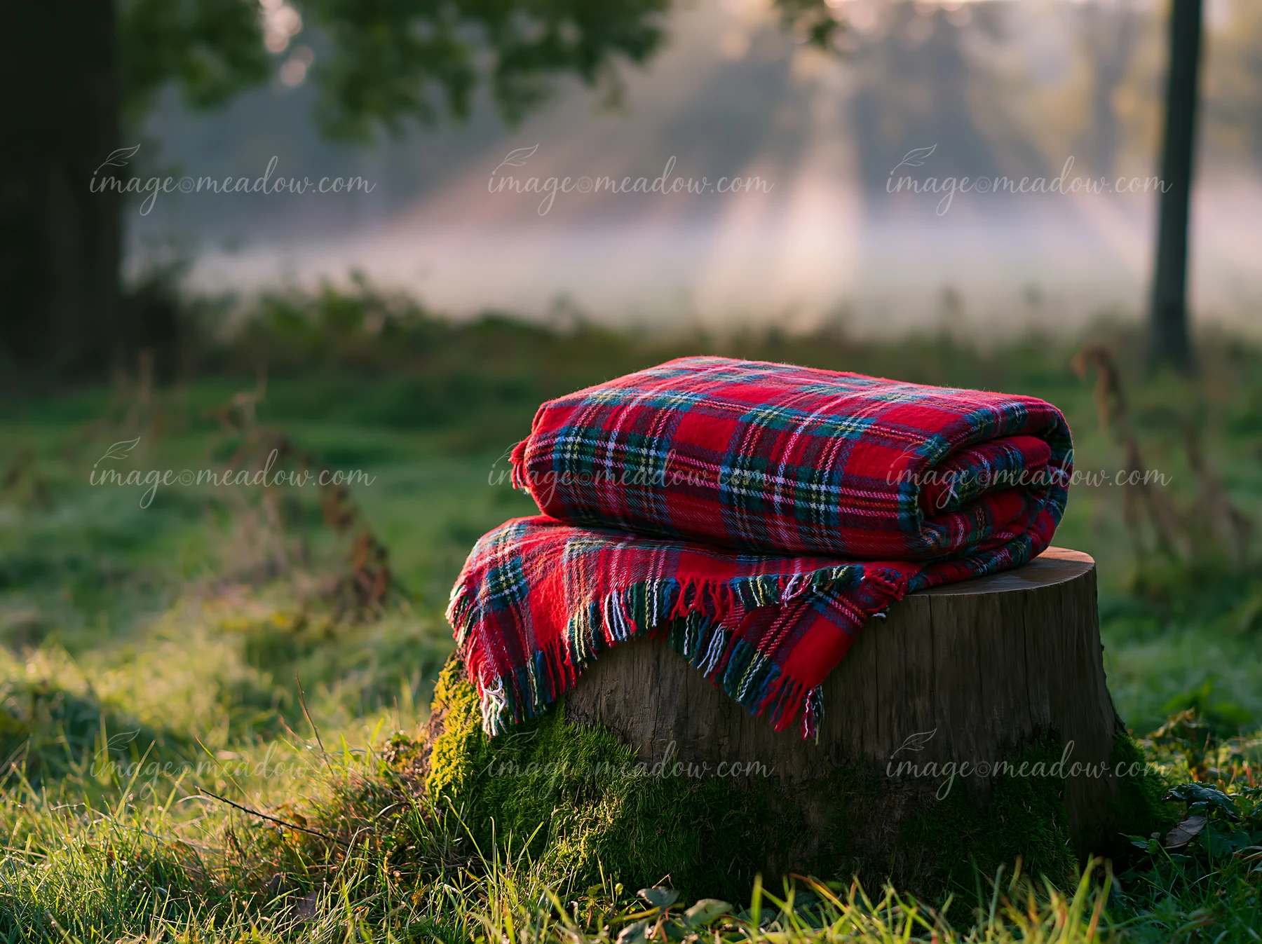Sunbeams over a misty meadow shine on a tartan blanket placed on a tree stump, surrounded by grass and trees.
