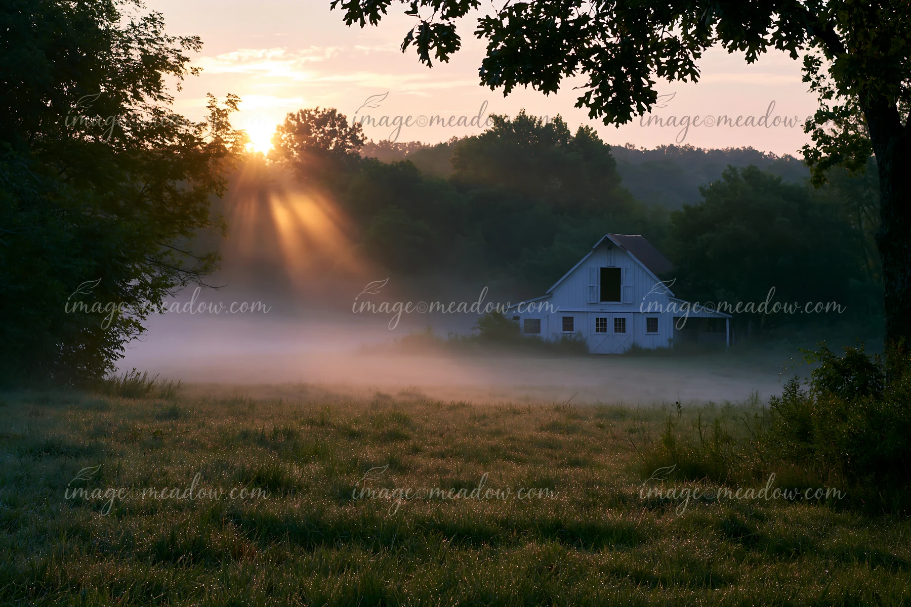 Sunbeams over a misty meadow shine through trees, highlighting a farmhouse surrounded by fog in the early morning light.