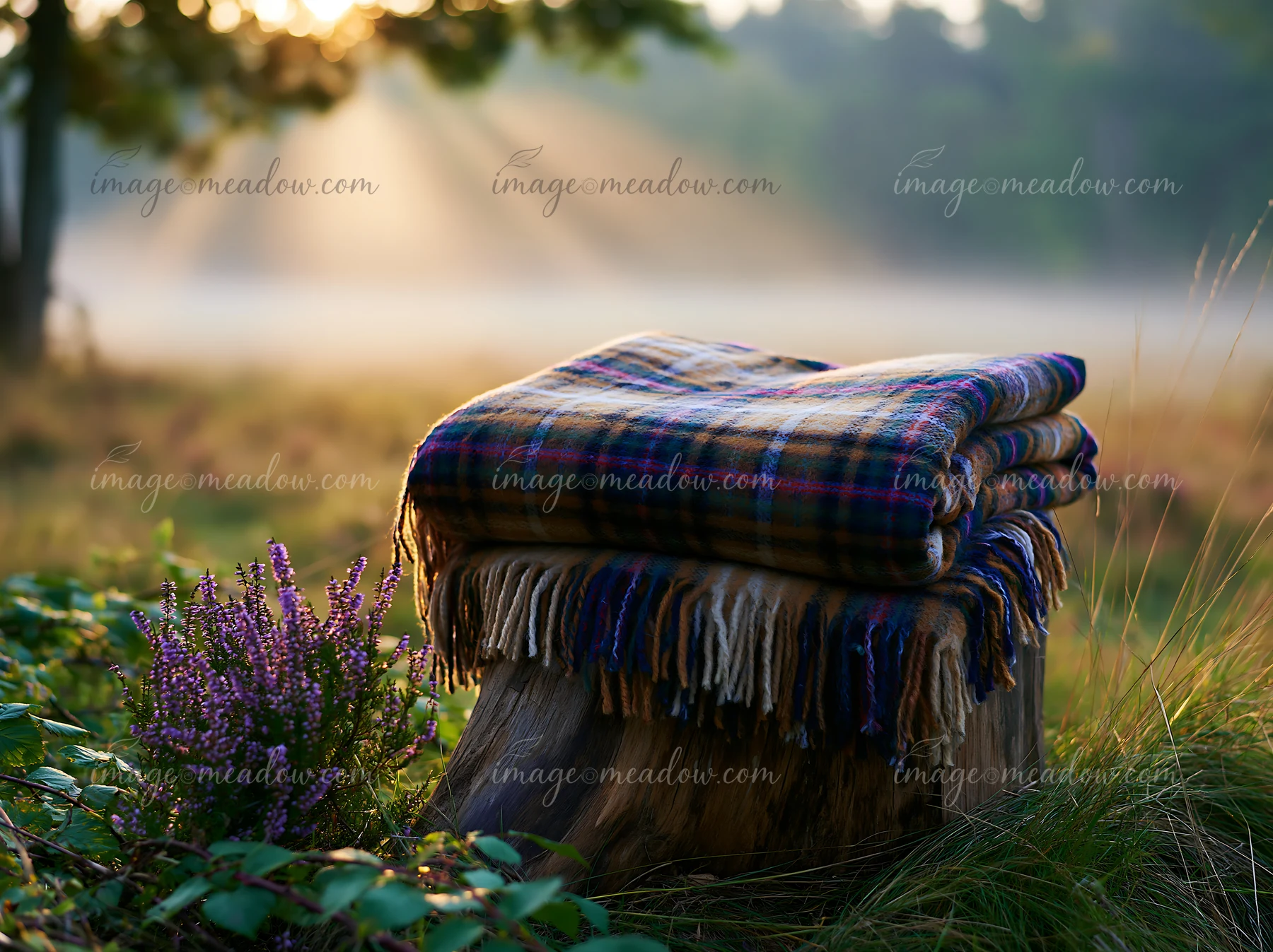 Sunbeams over a misty meadow shine through trees, highlighting a neatly folded blanket on a wooden stump.