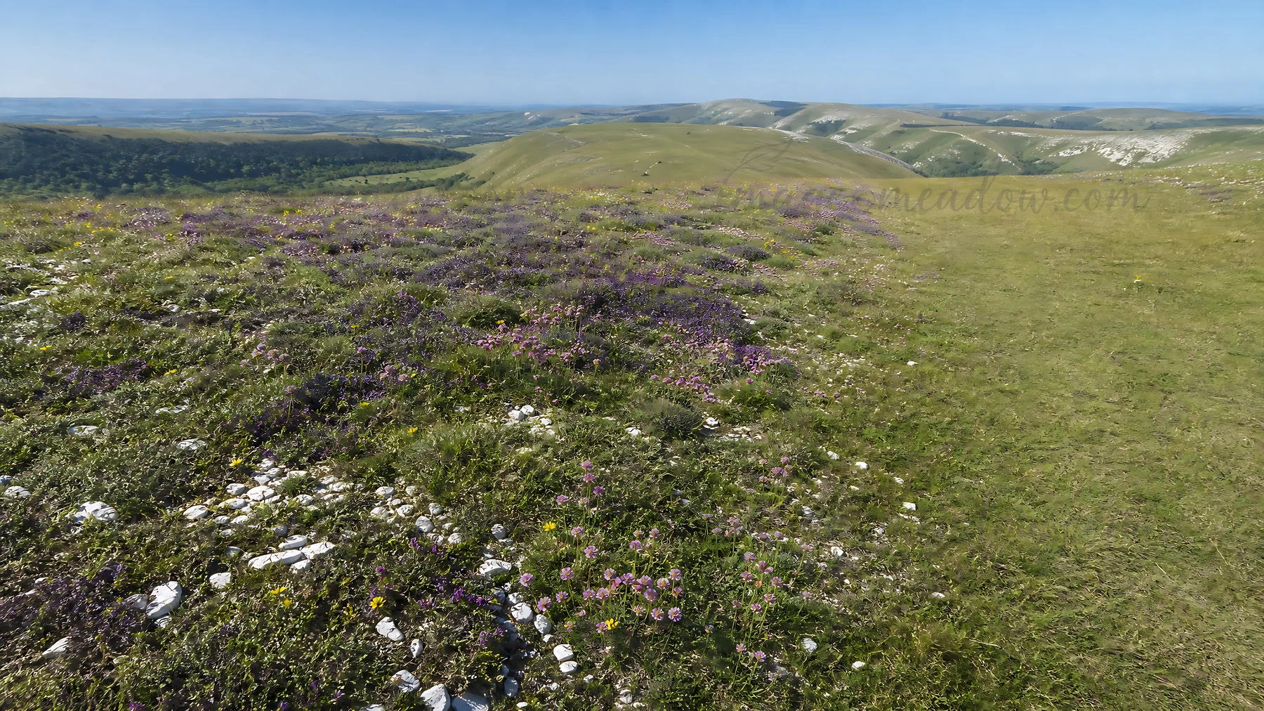 A green meadow filled with wildflowers sits under a clear blue sky. The landscape features rolling hills in the background and rocky patches scattered throughou