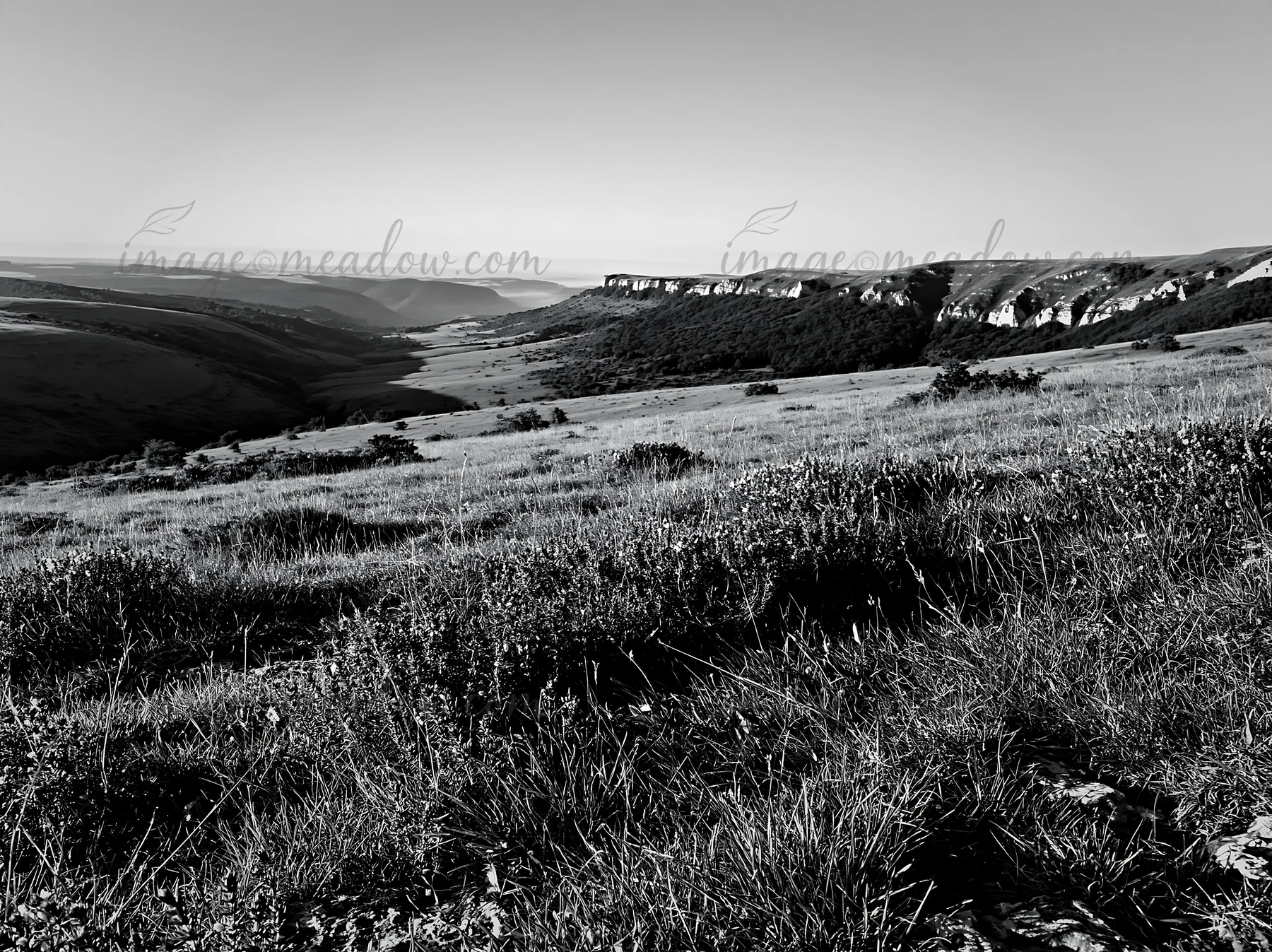 A wide view of a sunny meadow located on a limestone escarpment. The landscape shows hills in the background and green grass in the foreground. This scene is ca