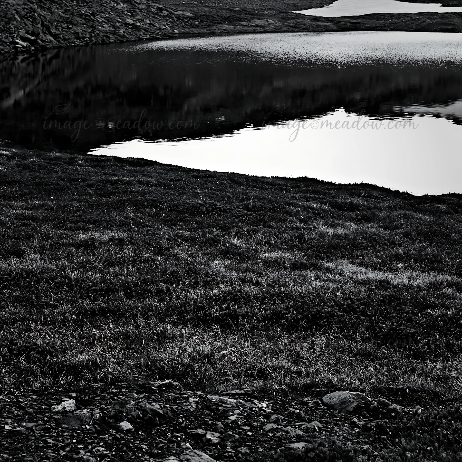 A lush meadow sits next to a calm alpine lake in Switzerland. The lake reflects the surrounding landscape. Grass covers the ground, creating a natural setting i