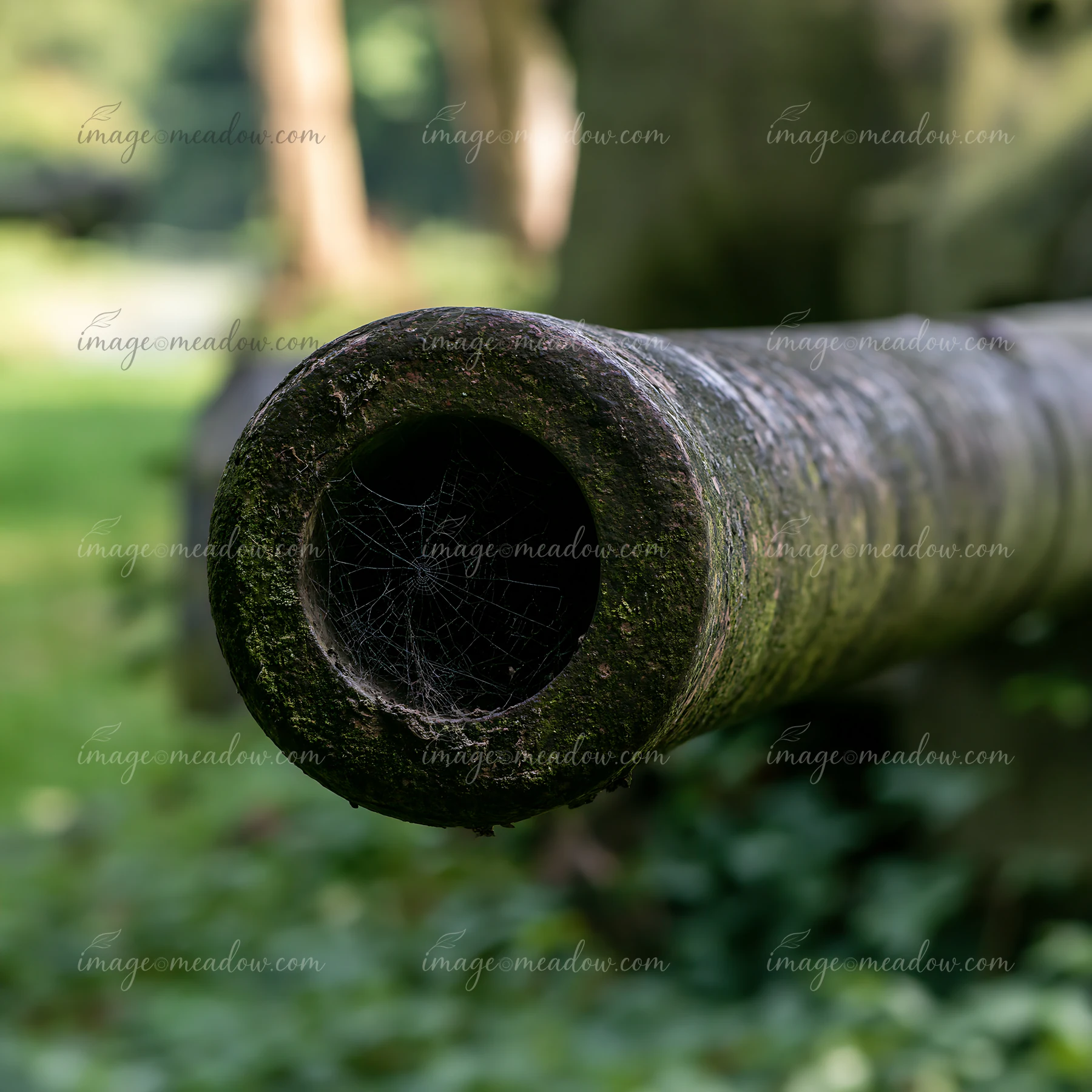 The close view shows the end of a panzer tank gun barrel resting in a green area.