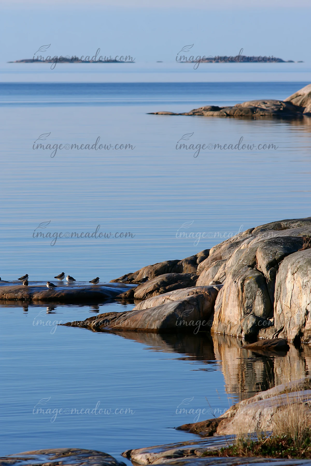 The coastline with exposed rocks stretches along the water, where birds are gathered on the rocks.