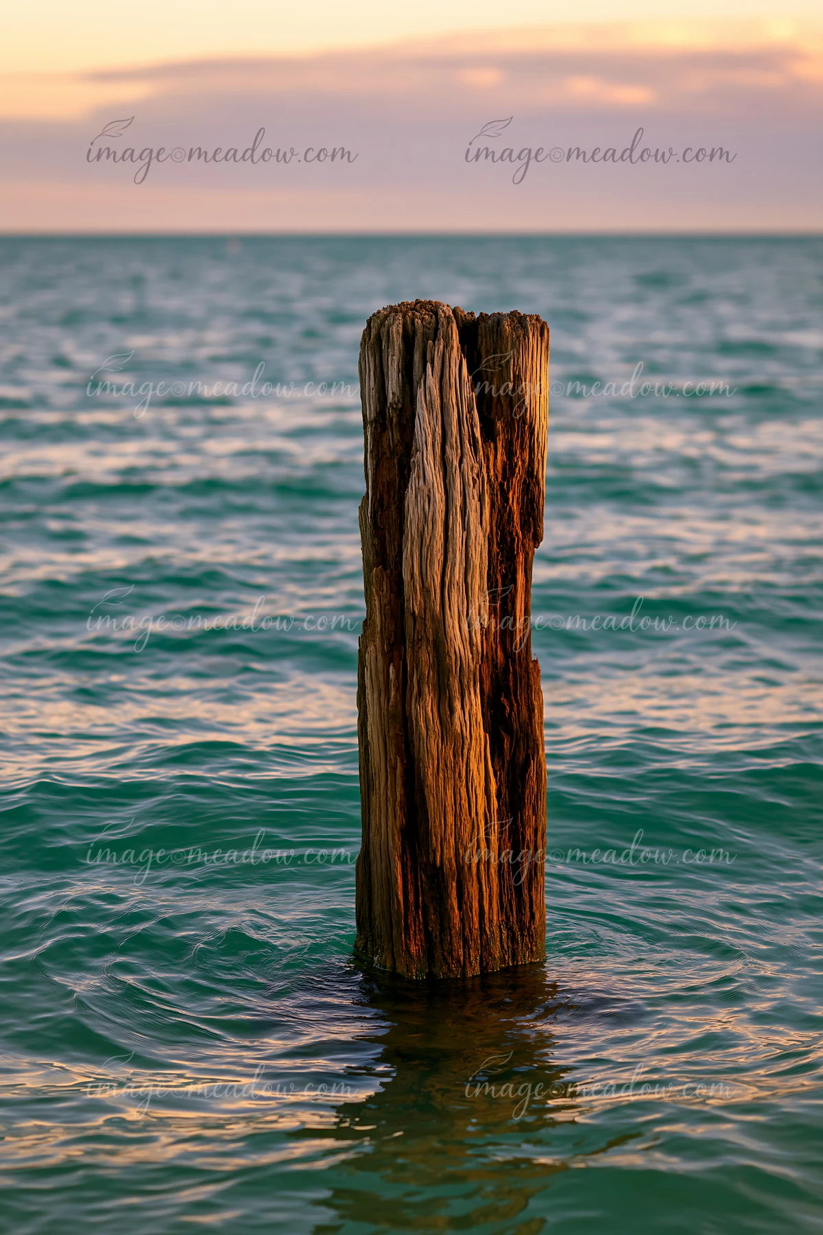 The scene shows an old wooden piling standing in calm water, under a colorful sky at sunset.