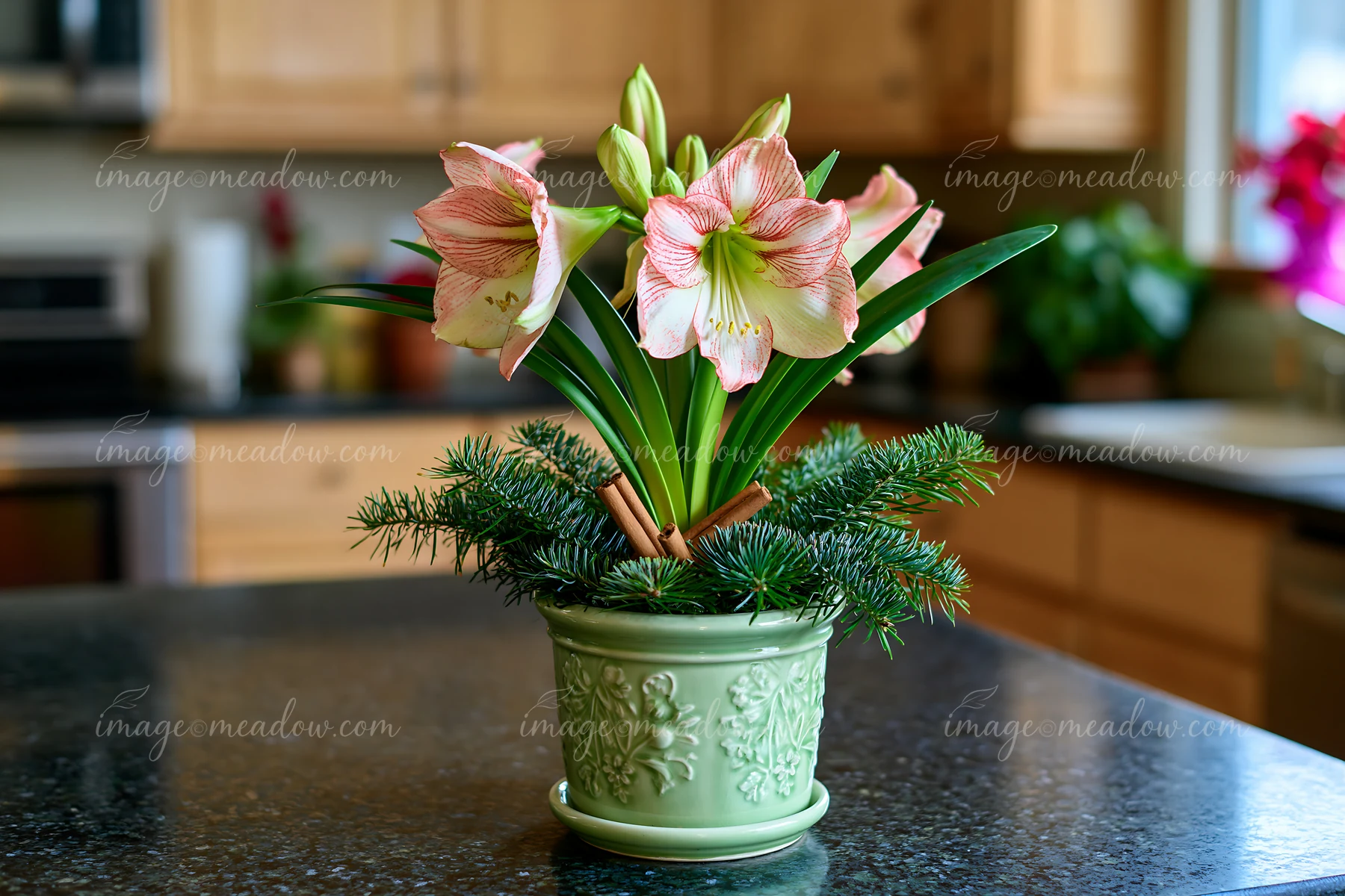 This arrangement features pink flowers in a ceramic pot placed on a kitchen countertop.