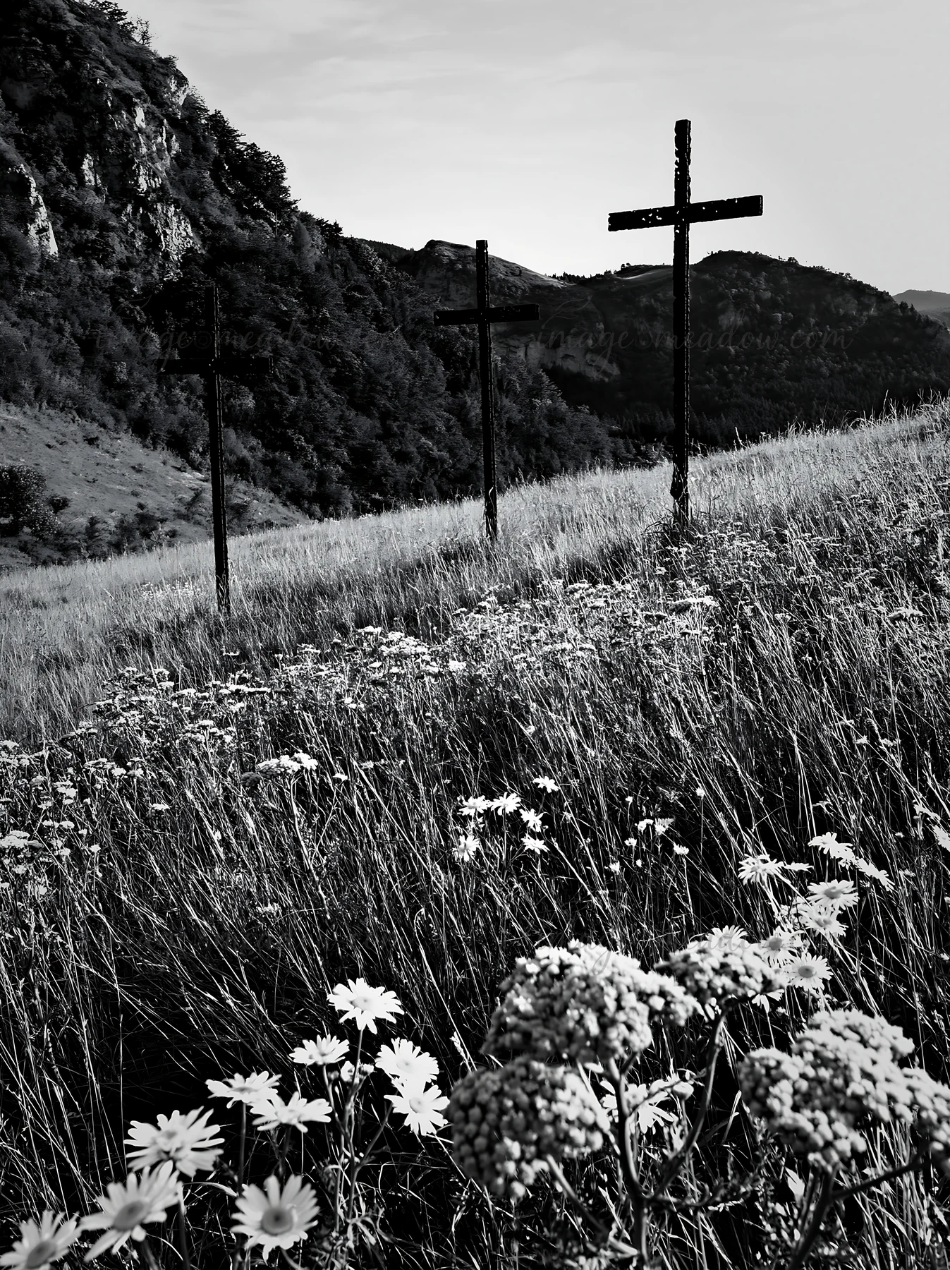 Three iron crosses stand in an Advent meadow surrounded by wildflowers. The landscape includes hills and trees in the background. The scene captures a moment du