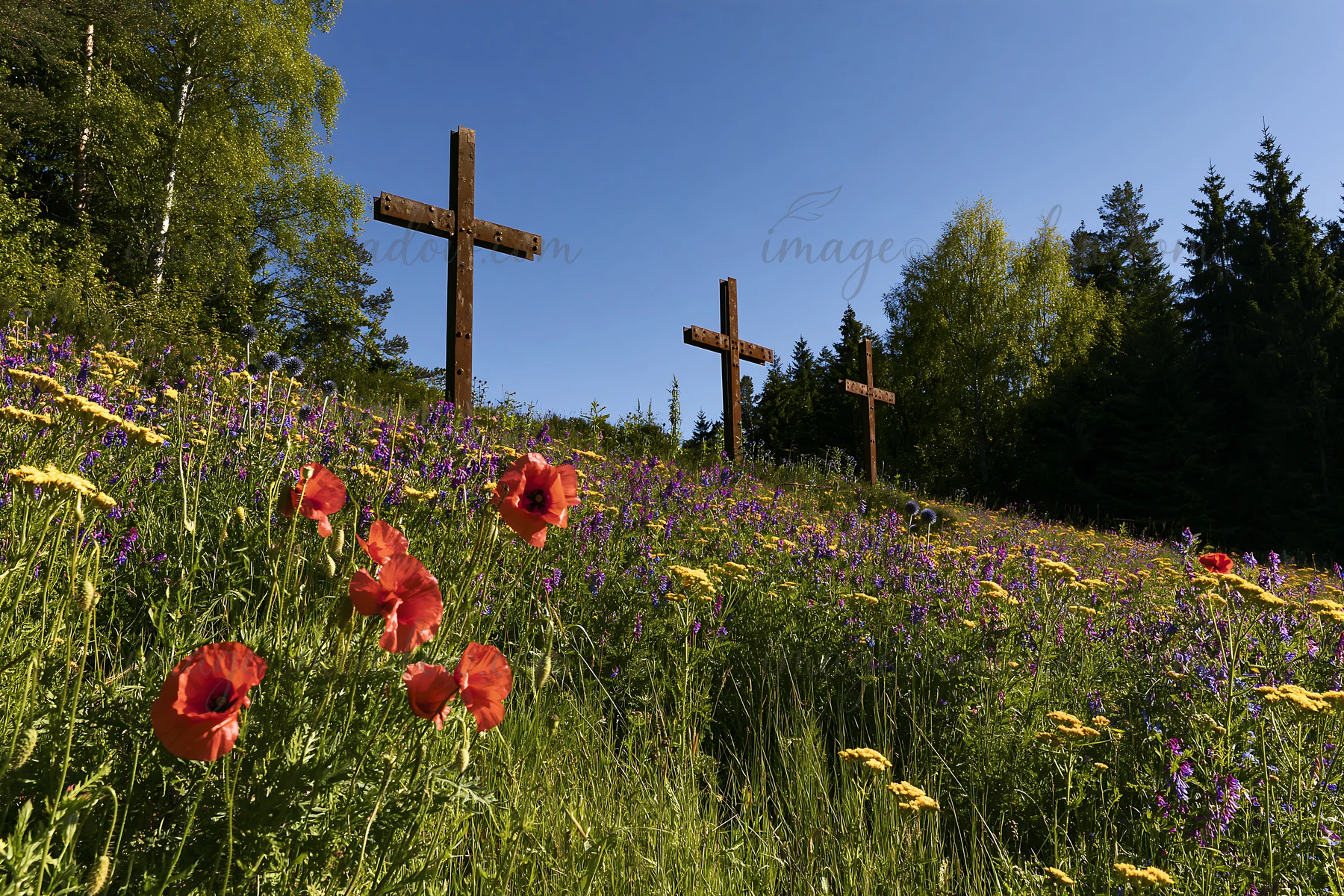 Three weathered crosses stand in a Christmas meadow filled with colorful wildflowers. The scene captures a sunny day with blue skies and trees in the background
