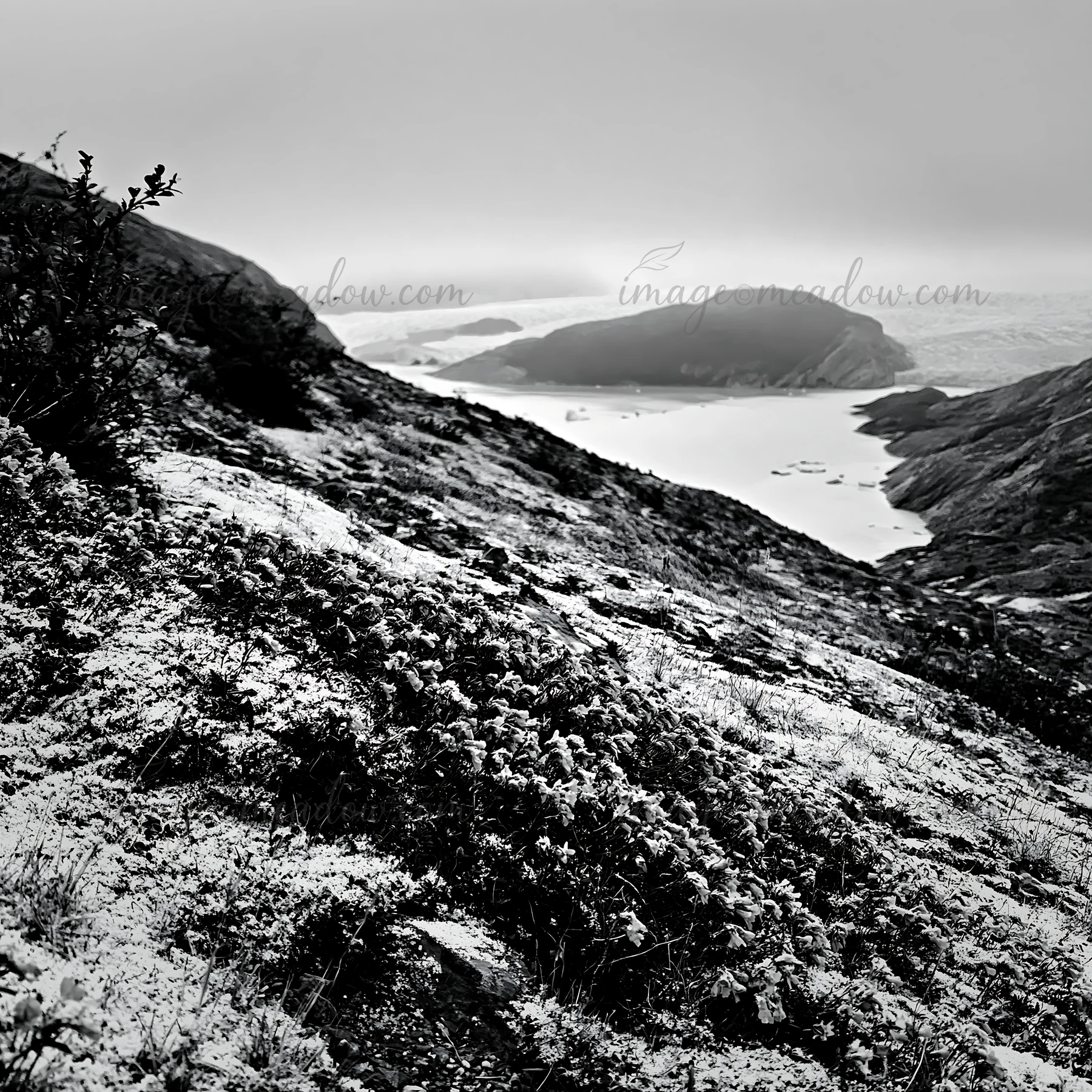 Snow blankets a meadow in Torres del Paine, Chile. The landscape shows rolling hills and a body of water in the distance with cloudy skies. This region is known