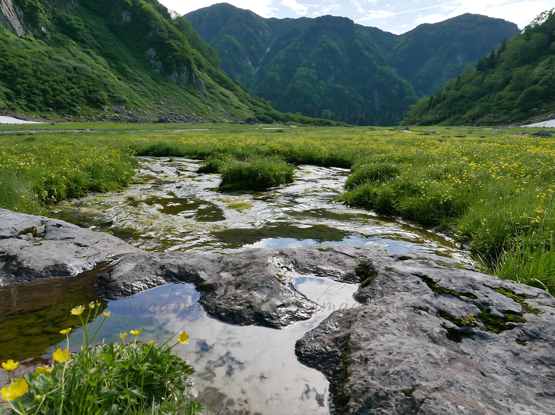 The scene shows a rocky foreground with water pooling while surrounded by green grass and wildflowers, set against mountains under a bright sky in Toyama.