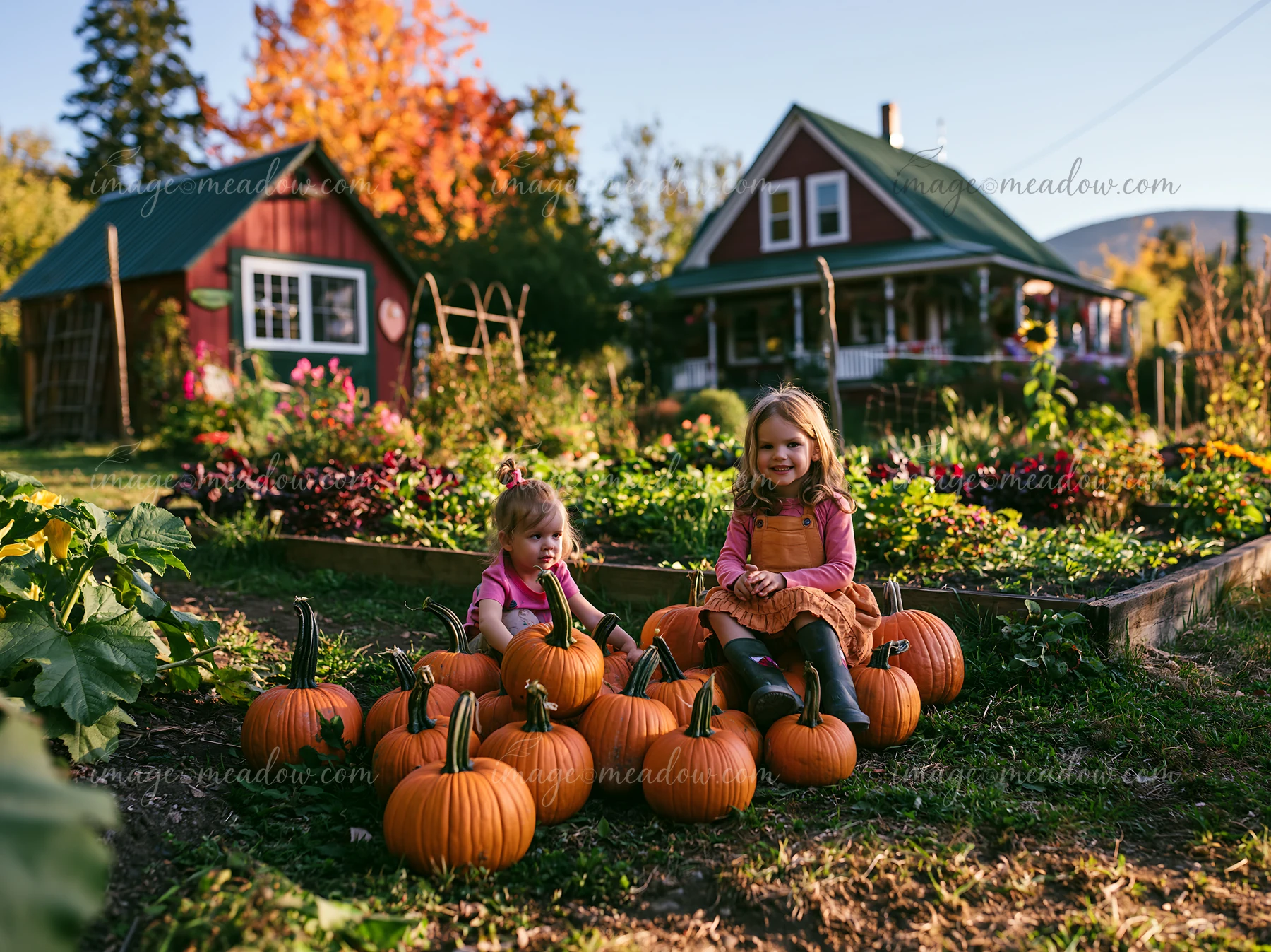 Two children play among pumpkins in a farmhouse garden during autumn.