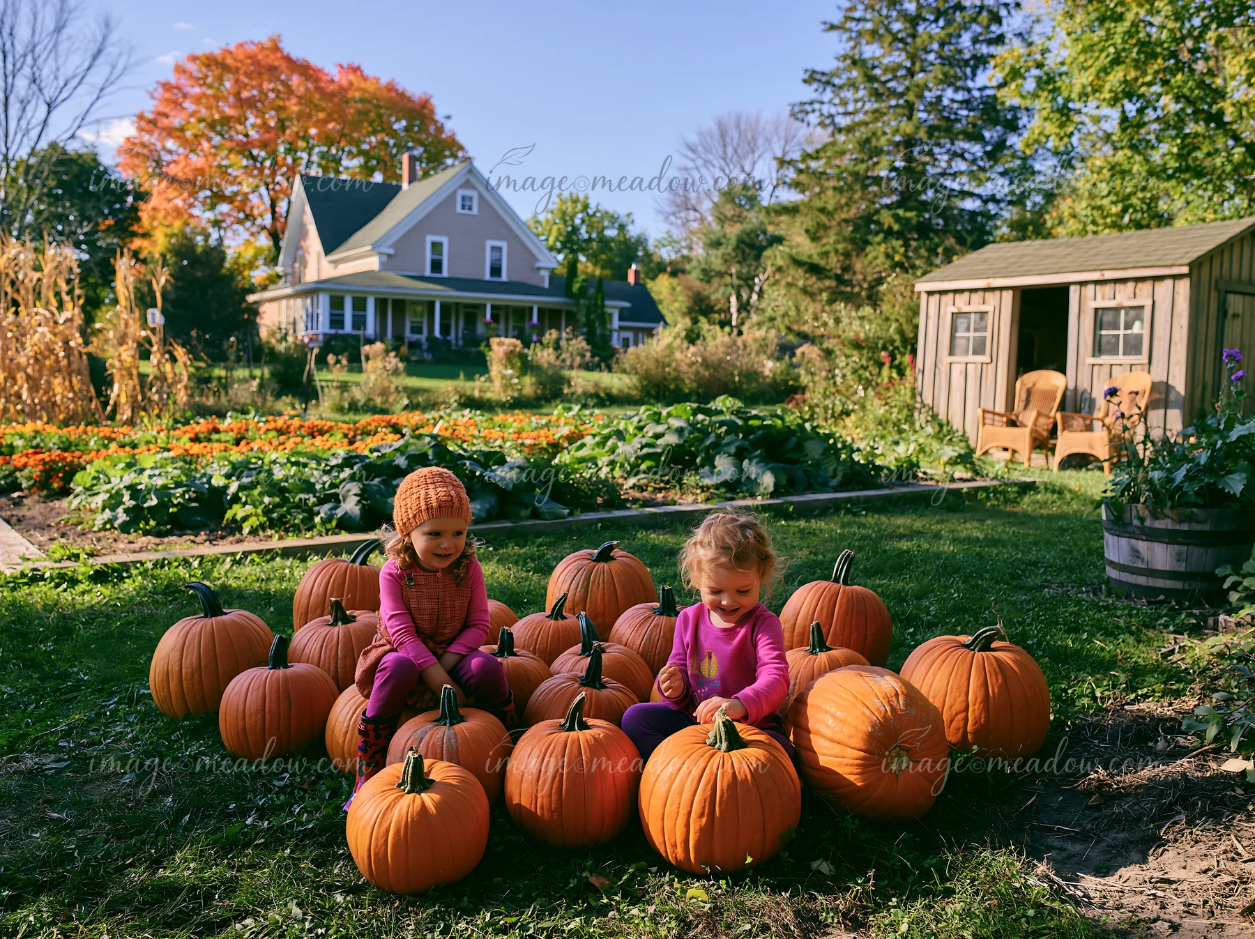 Two children play with pumpkins in a garden near a farmhouse.