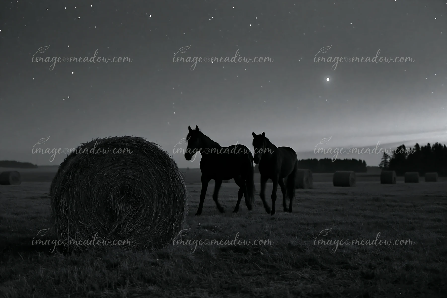 Two horses move across a field under a starry sky at night, with a round hay bale nearby.