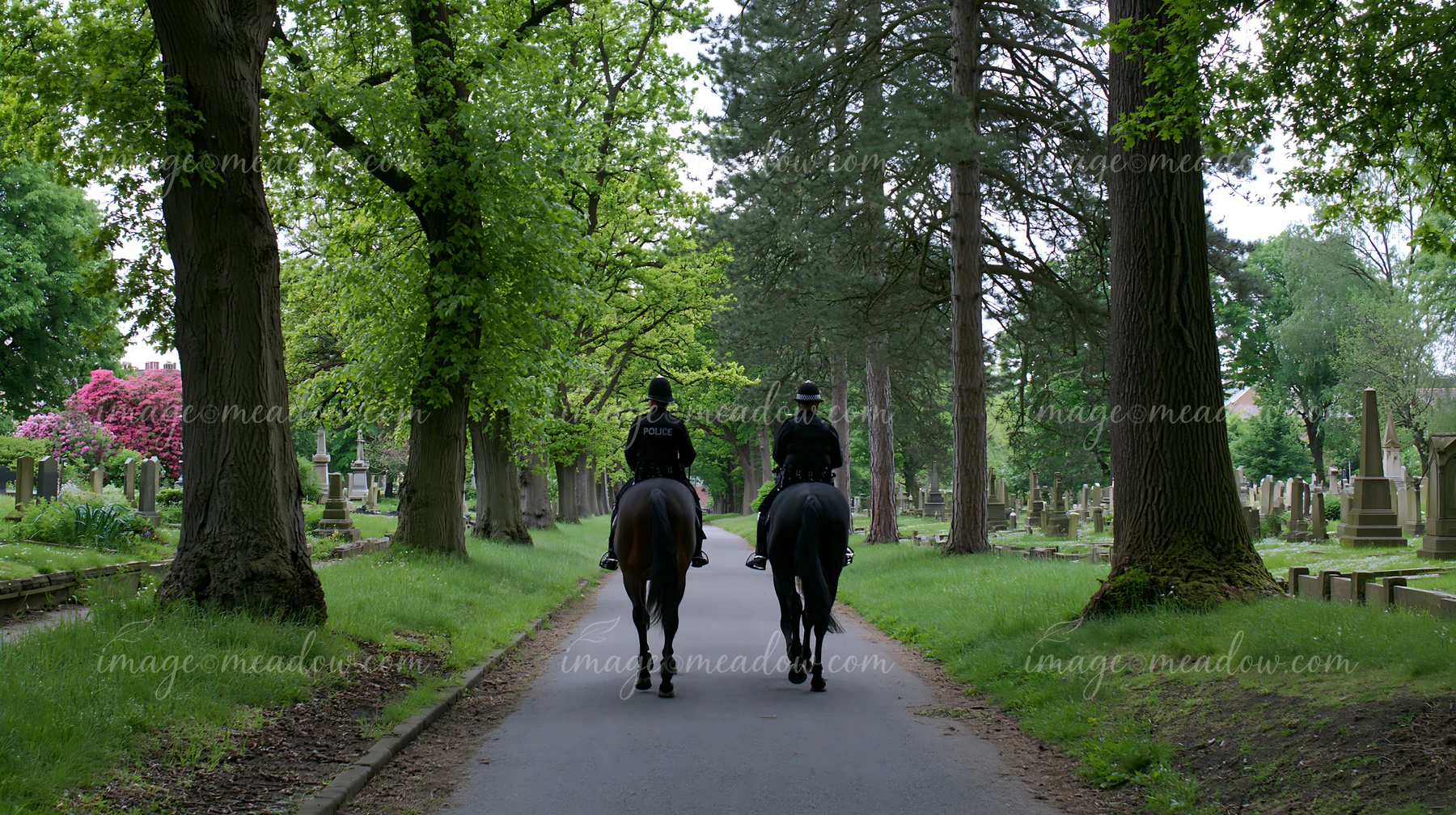 Two police officers on horseback patrol a tree-lined path in a cemetery with green grass, tombstones, and nearby blooming flowers.