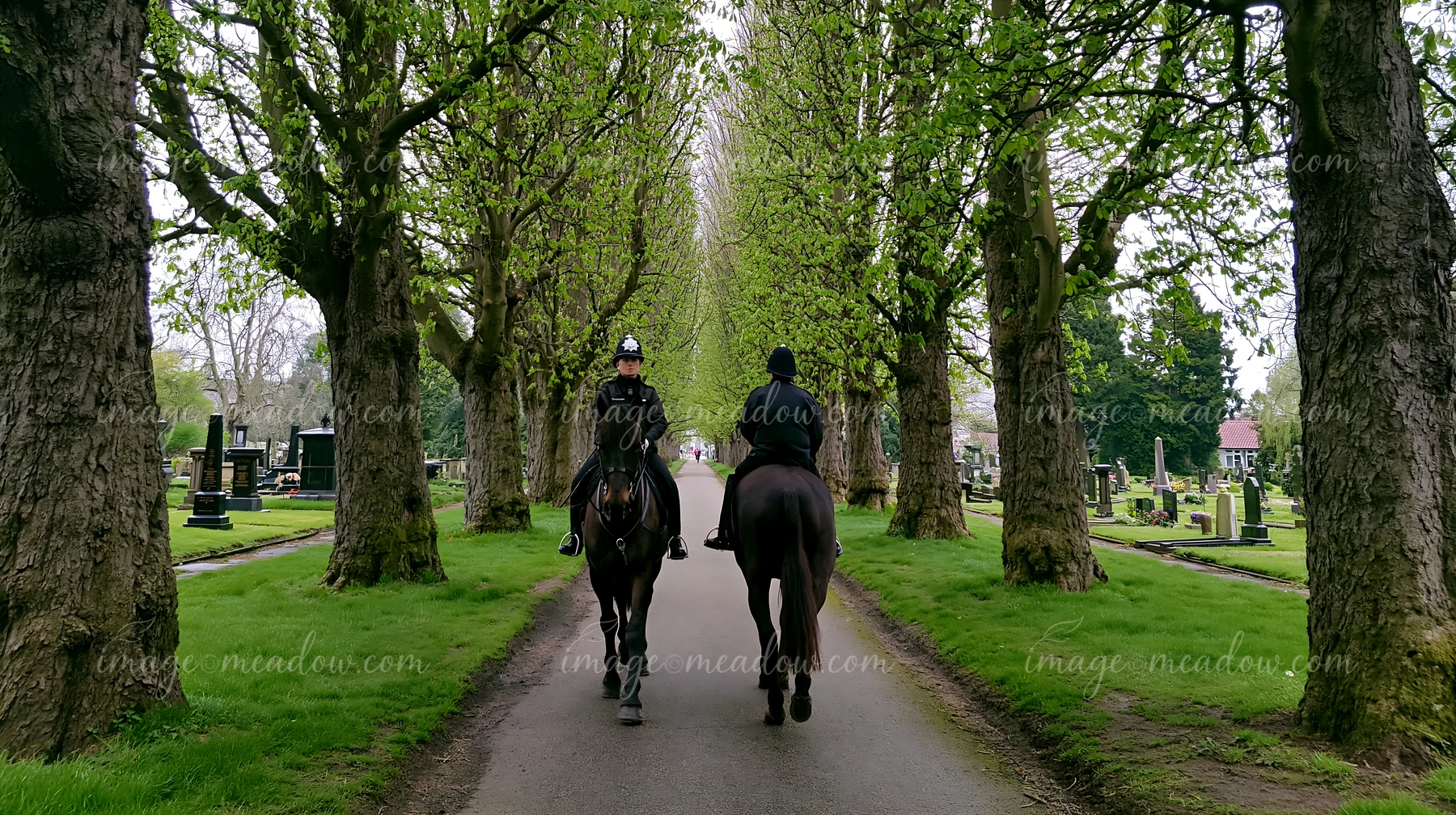 Two police officers ride horses down a path in a cemetery surrounded by tall trees.