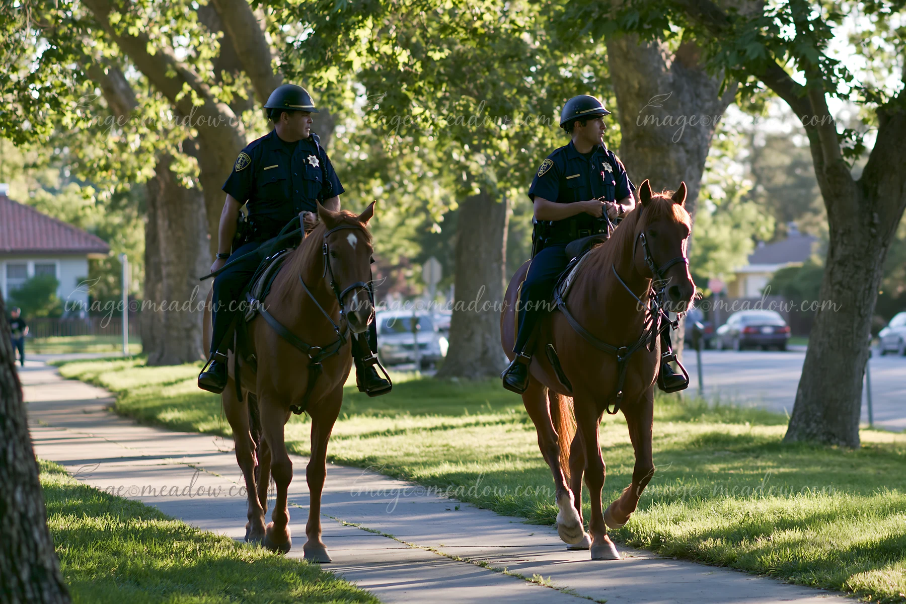 Two police officers ride horses on a sidewalk in a city park.