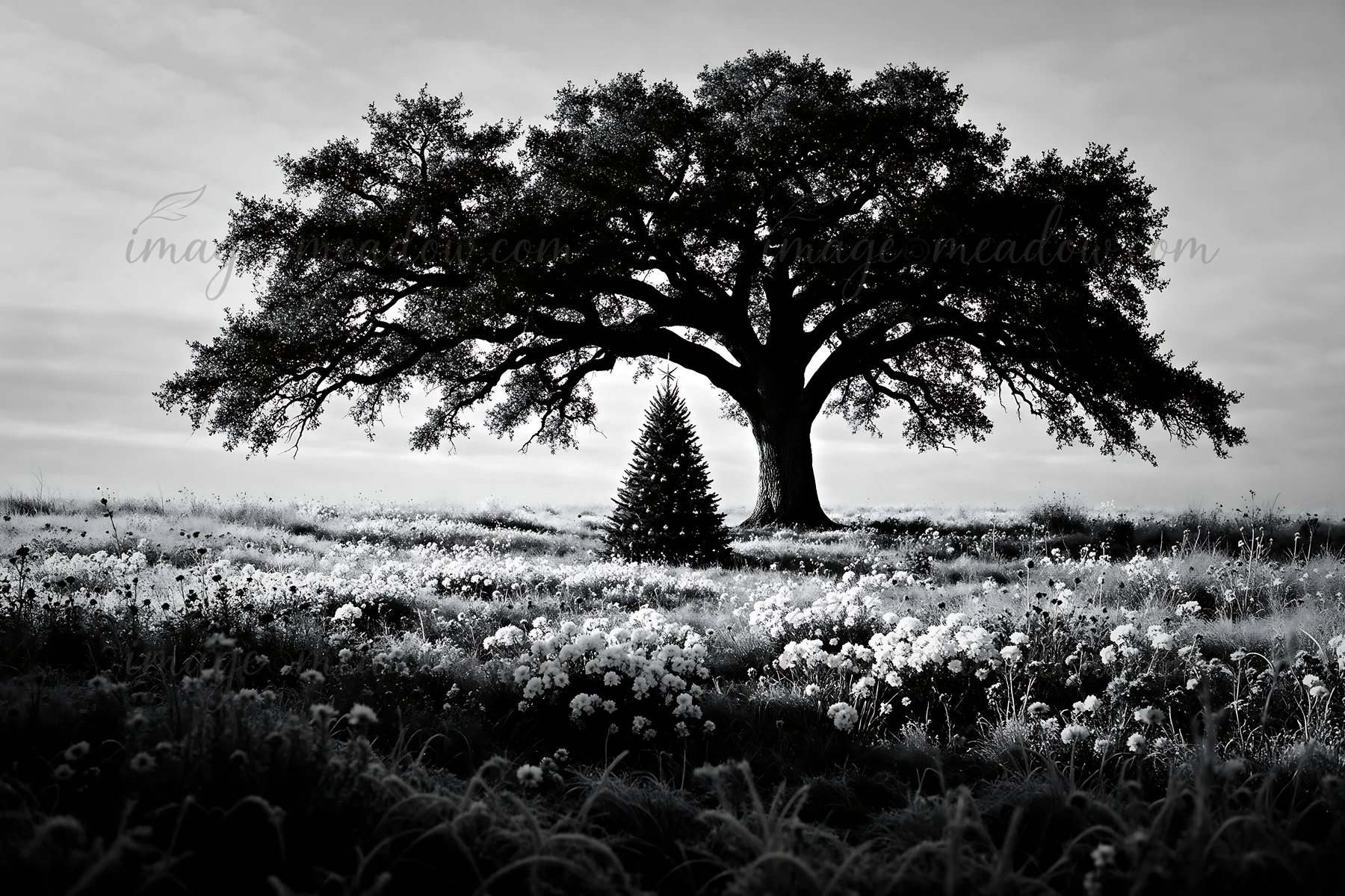 A Christmas tree stands in a winter meadow surrounded by flowers. A large tree casts a shadow over the scene. The sky is overcast, and the landscape is tranquil
