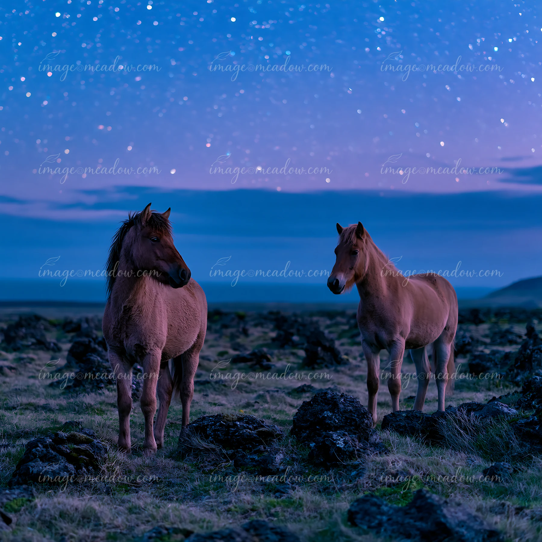 Wild horses beside volcanic rocks under stars stand in a natural setting.