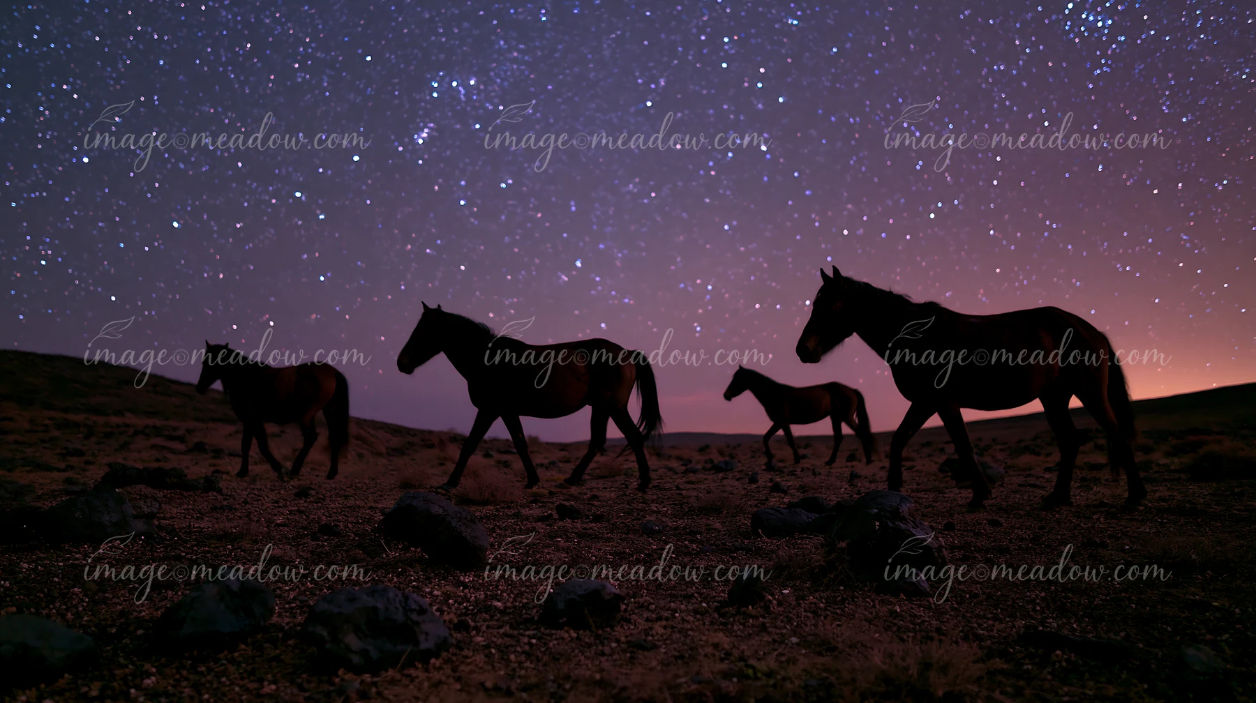Wild horses walk beside volcanic rocks under the stars in a clear night sky.