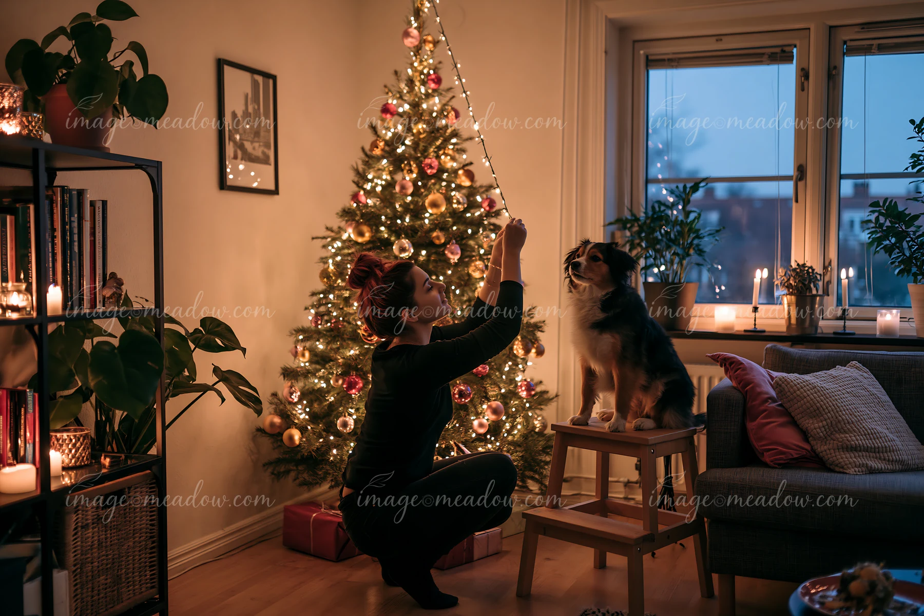Woman hangs an ornament on a lit Christmas tree as a dog watches in a cozy apartment.