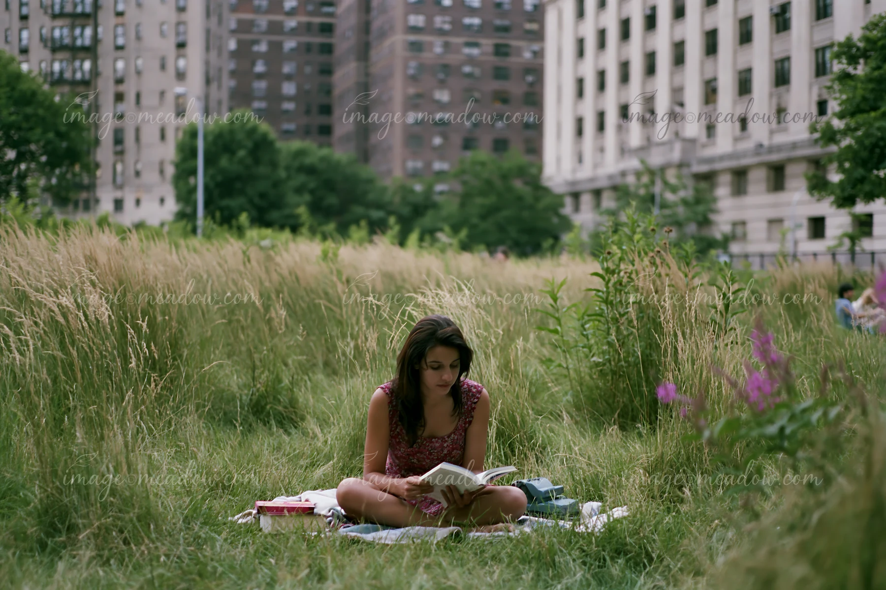 Woman sitting in tall grass and reading a book in an urban meadow surrounded by apartment buildings.