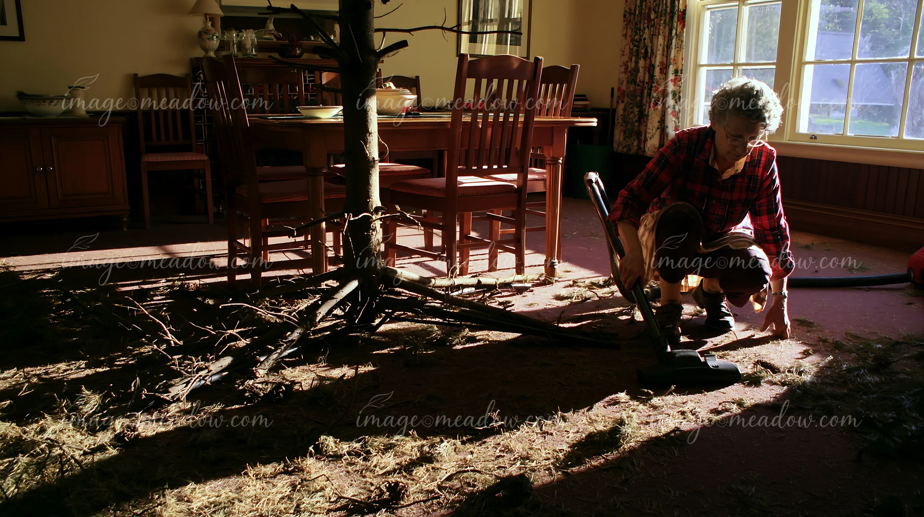 Woman vacuuming pine needles and branches from a dining room after a holiday celebration.
