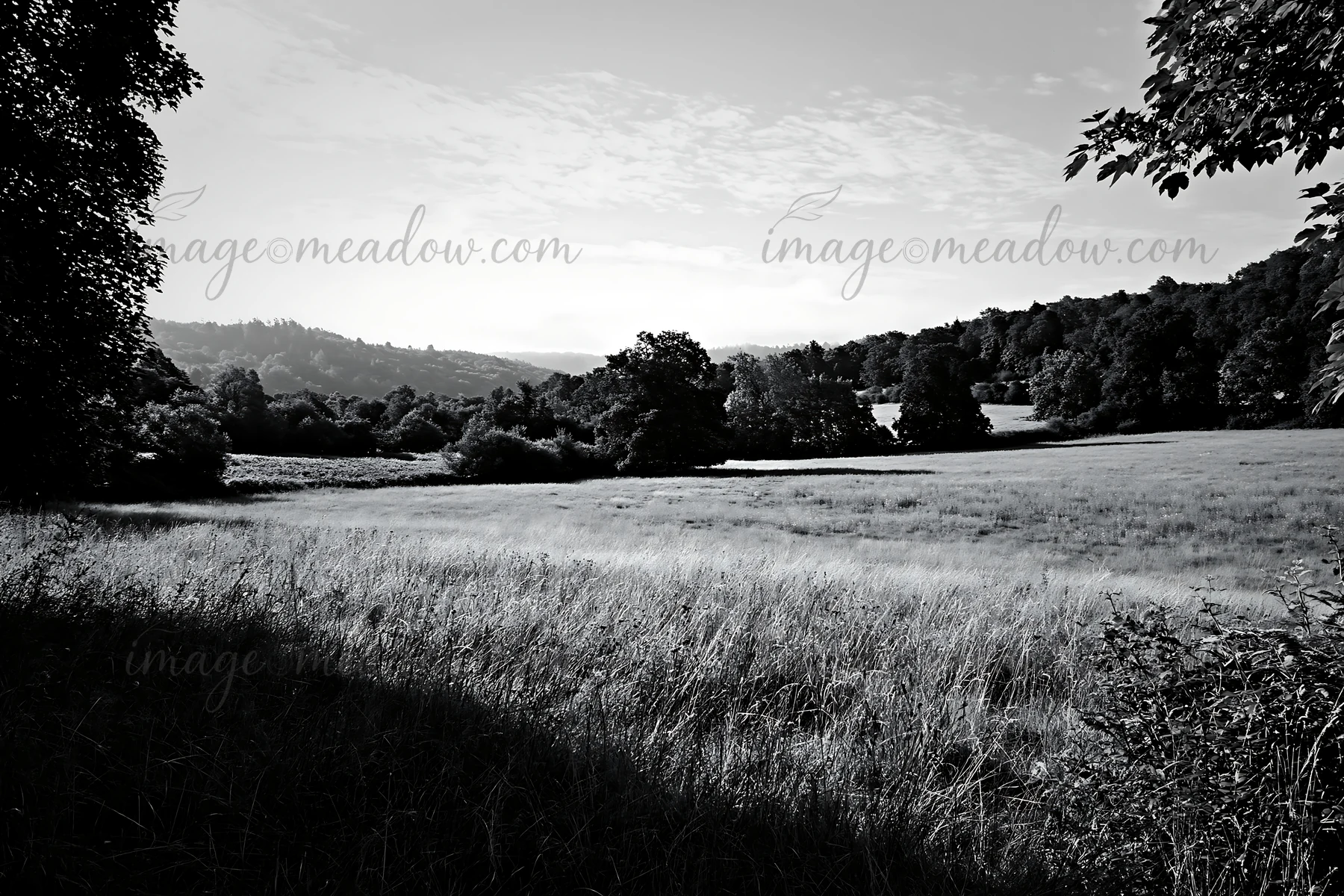 A wooded valley meadow shows an expansive grass field with trees lining the edges. Distant hills rise in the background under a blue sky with clouds. Presented