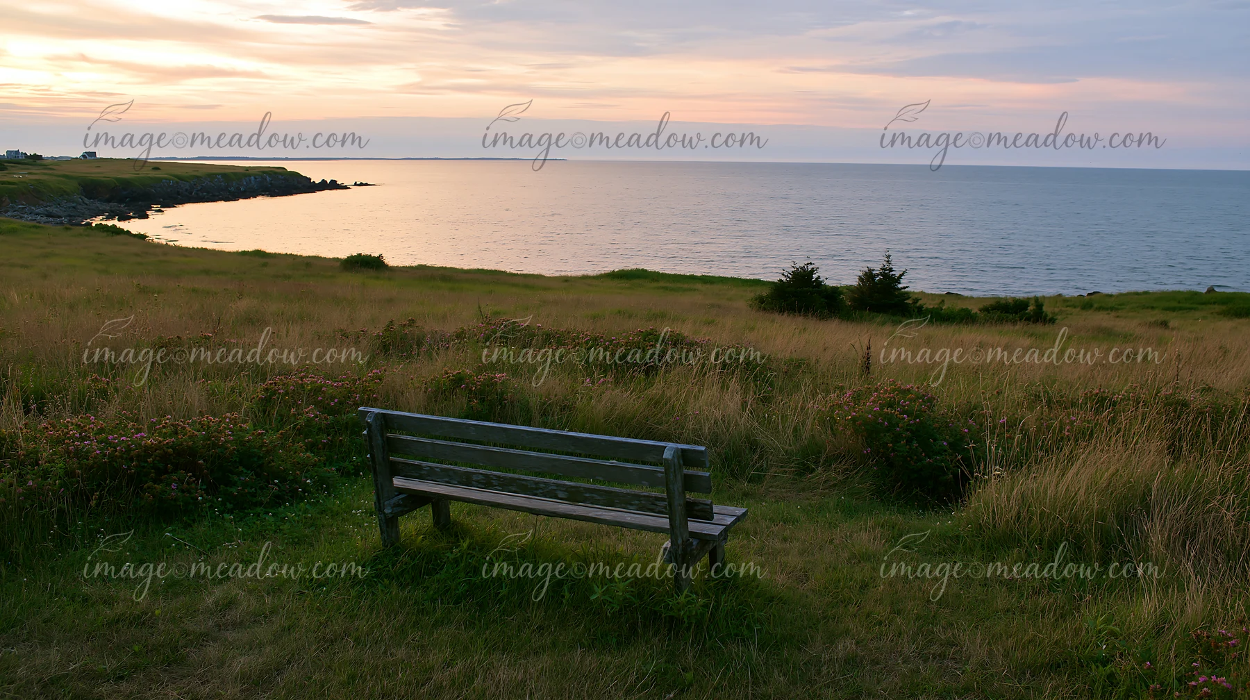 Wooden bench in a grassy meadow overlooking calm coastal water beneath a pastel sunset sky.