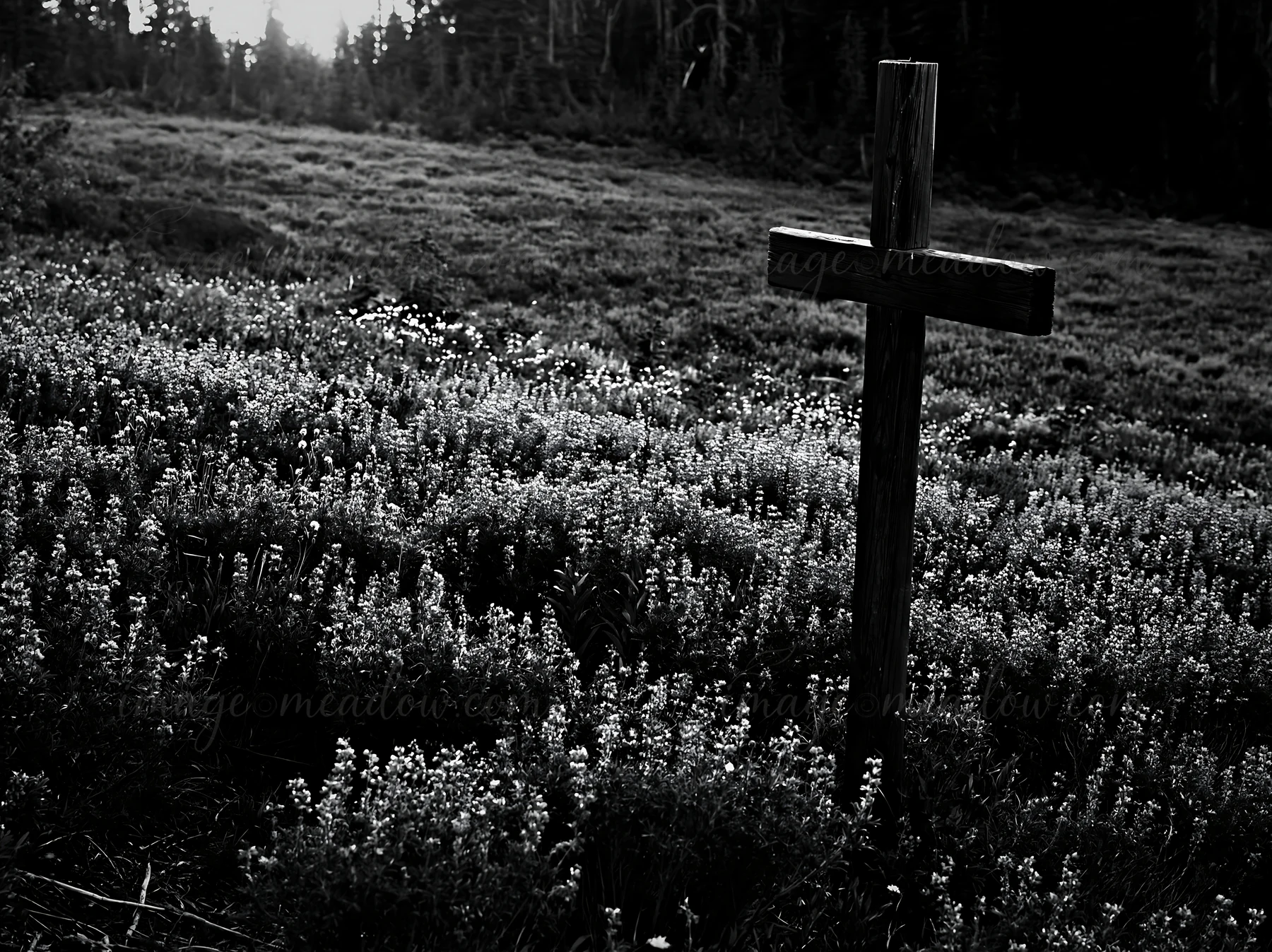 A wooden Christian cross stands in a deep mountain meadow filled with flowers. The sun sets in the background, casting shadows over the grassy field. The scene