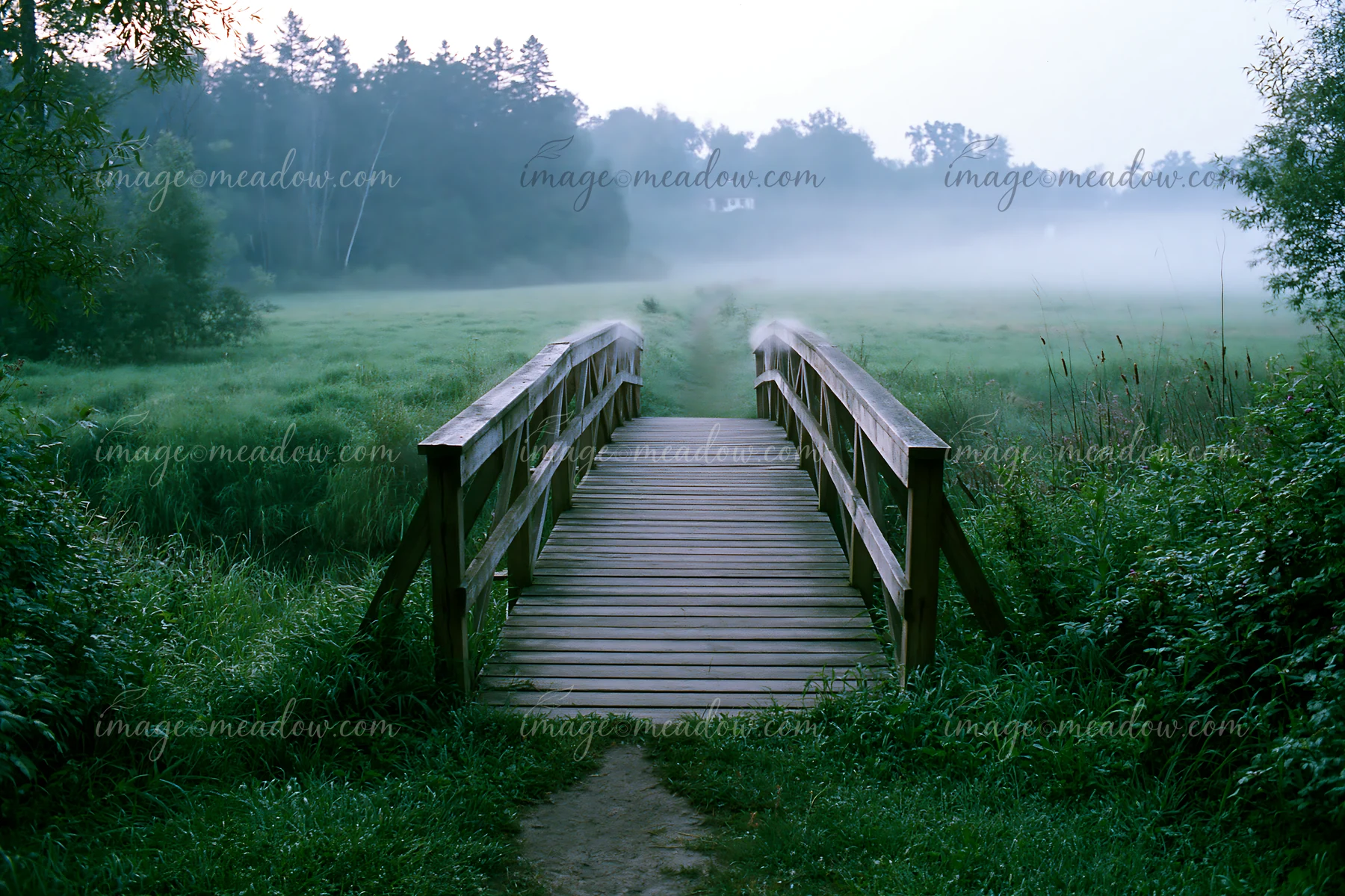 Wooden footbridge and narrow path lead through lush vegetation into a fog-covered meadow.