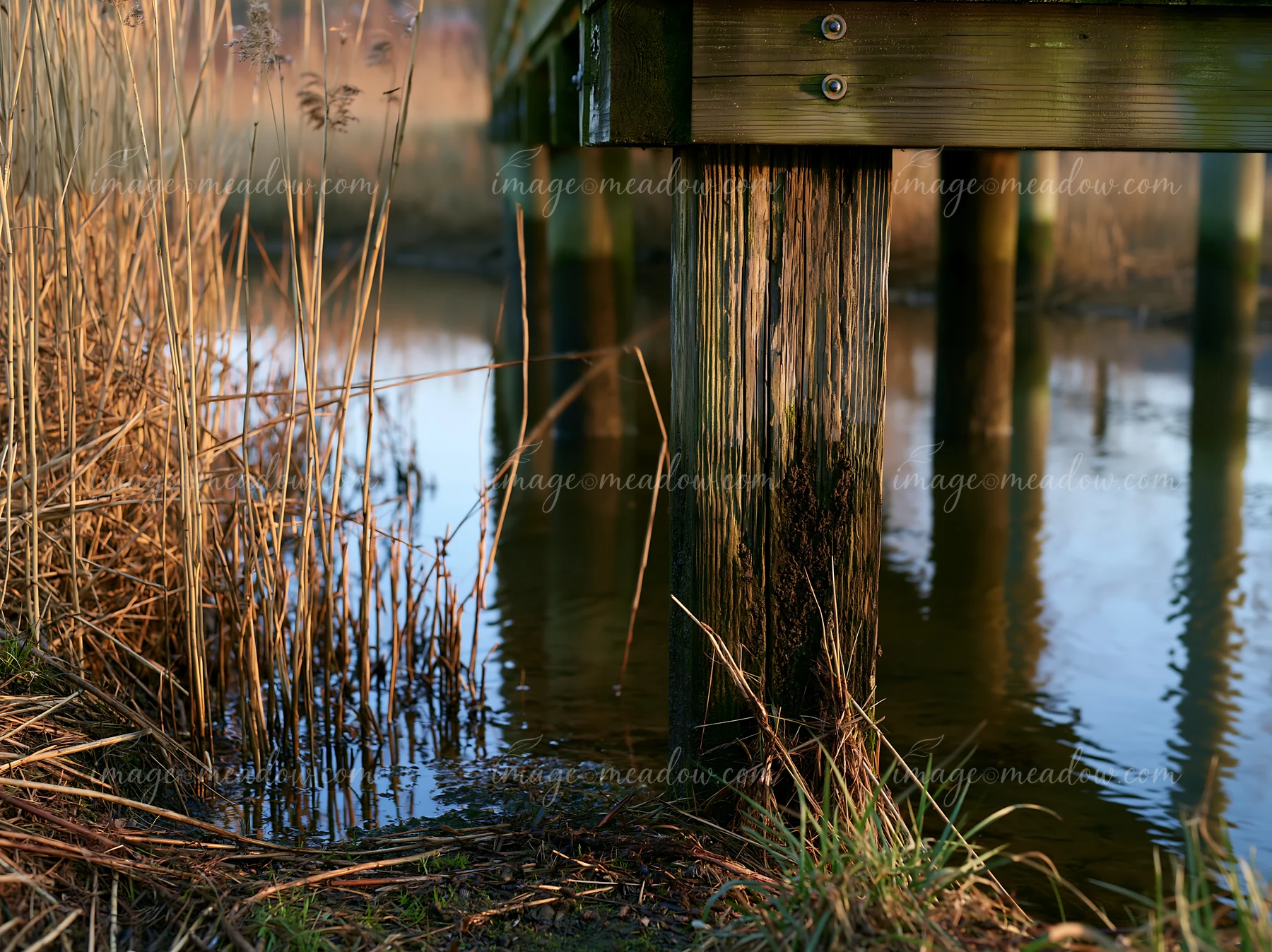 Wooden piling beneath a pier supports the structure as the sun sets.
