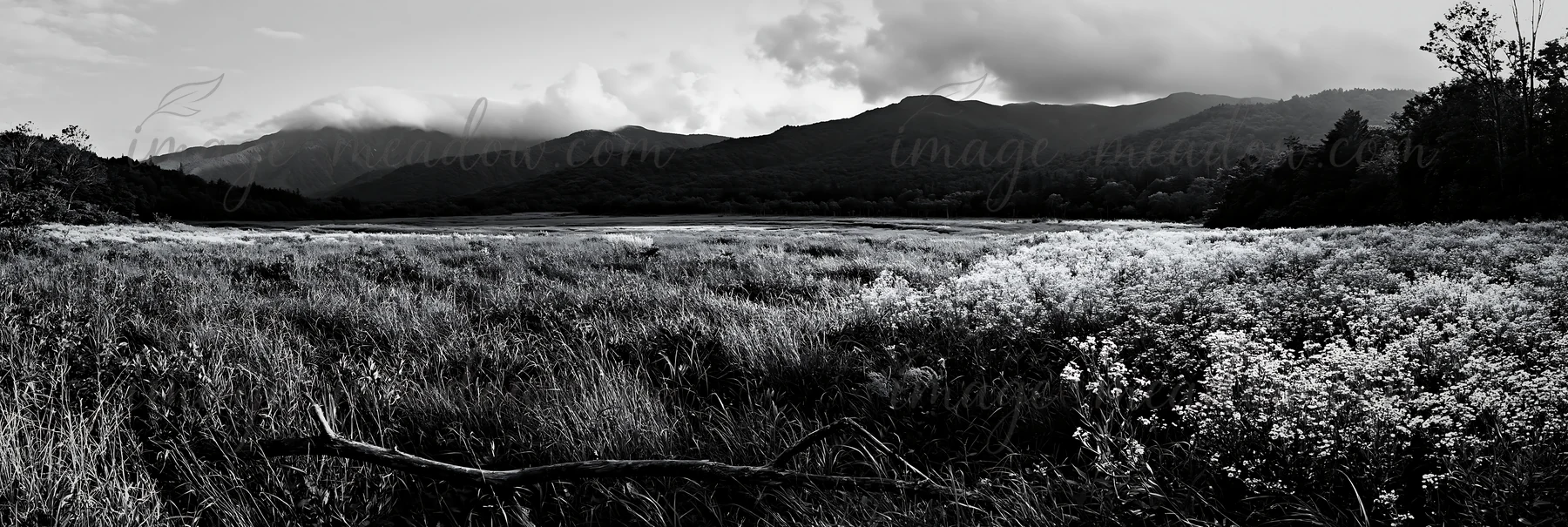 A view of a meadow in Yamagata features lush grass and flowers with a fallen branch in the foreground. The distant mountains are partially obscured by clouds. P