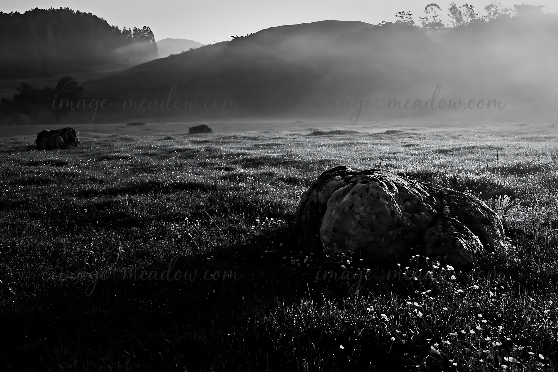 The scene shows a meadow in Yamaguchi with a pale boulder among green grass and yellow flowers. Morning light creates a soft atmosphere with a slight mist in th