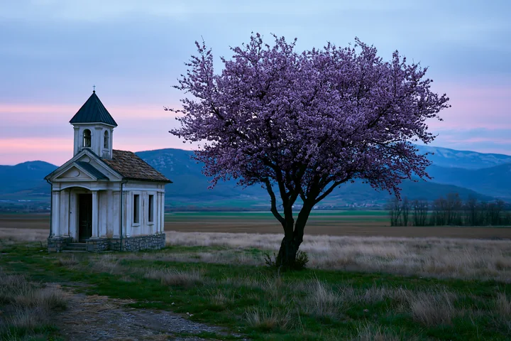 A blooming almond tree stands next to a small chapel in an open field surrounded by mountains at dusk.
