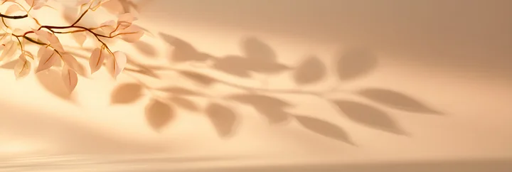A branch with leaves is positioned against a soft background, creating delicate shadows that fall artistically.