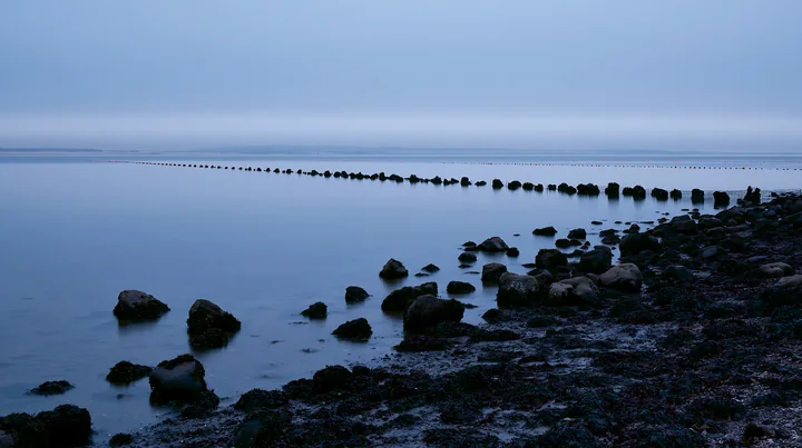 A calm coastline with mussel farms stretches into the distance under a dim sky.