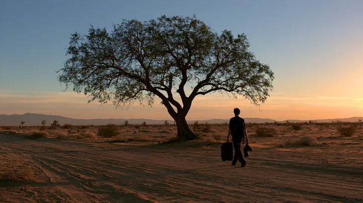 A person walks through a desert carrying photography equipment as the sun sets, casting shadows on the ground near a large tree.