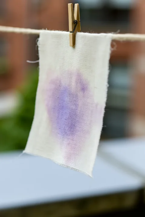 A piece of muslin fabric hangs on a clothesline with a watercolor stain visible.