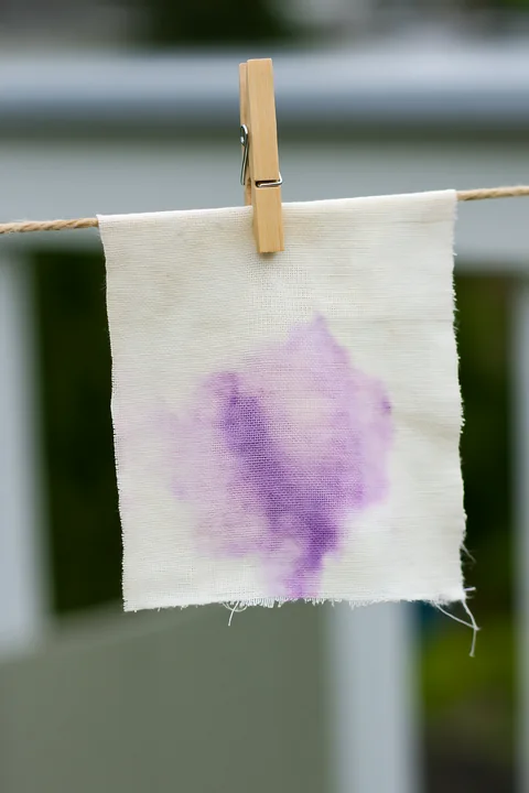 A piece of muslin fabric with a purple watercolor stain hangs on a clothesline.