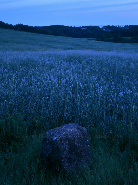 A boulder sits in a meadow in Aomori during twilight. The field is filled with grasses, creating a cool blue hue across the landscape.