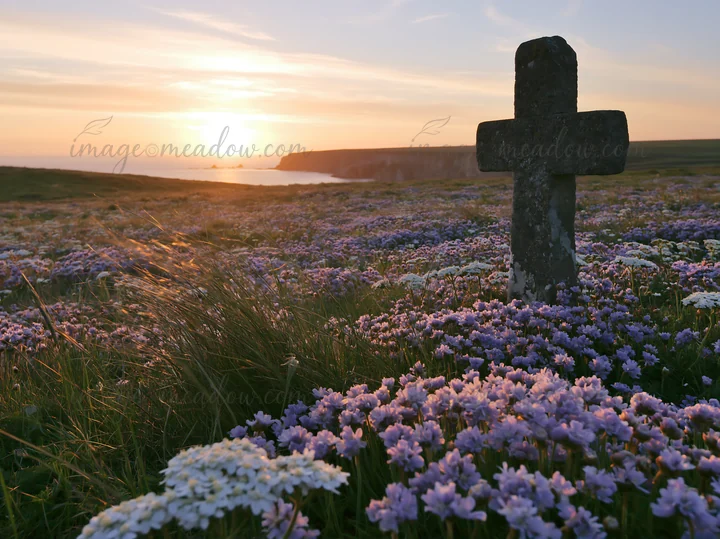 A Christian cross stands in a meadow filled with wildflowers as the sun rises over the horizon. The scene captures the light illuminating the landscape near the