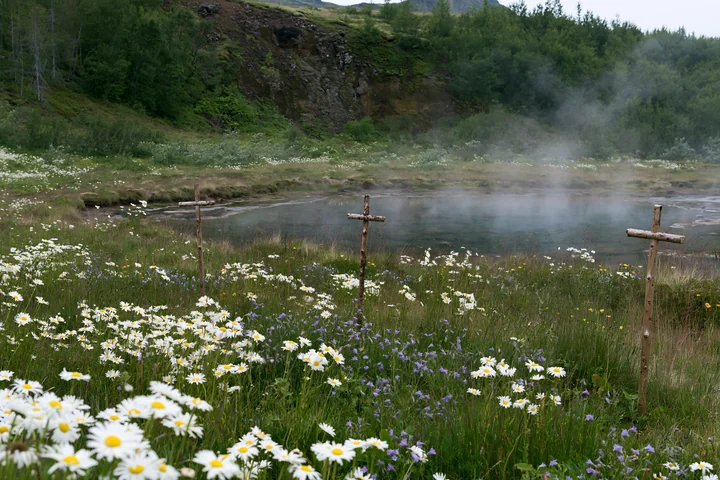 Crosses stand in a meadow filled with flowers near a steaming geothermal spring. The natural landscape features rich greenery and a serene atmosphere during day