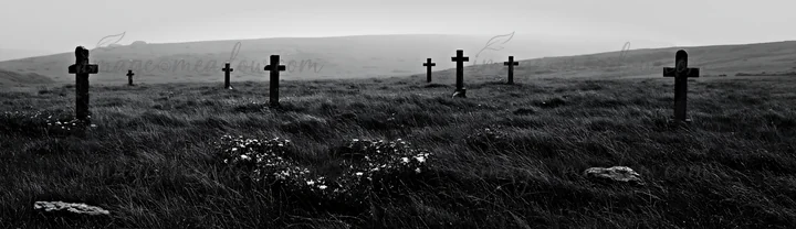 Crosses stand in a meadow covered with rain. The grass is wet and the sky is overcast. The scene is quiet, with a few flowers visible among the grass. The locat