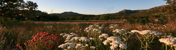 Christmas ornaments are placed near a cave in a meadow. The landscape features wildflowers and distant mountains. The setting captures the essence of a natural