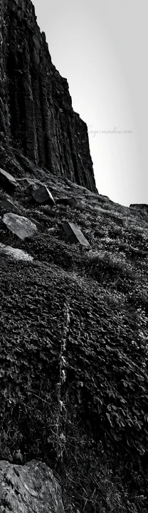 The scene shows a clover speedwell meadow on a slope, surrounded by large rocks and rocky cliffs in the background. The environment feels natural and lush. Pres