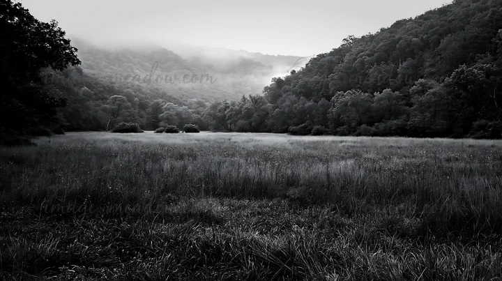A wide meadow appears in a wooded valley in Hungary. The landscape shows tall grass and trees in the background. Fog covers the hills, creating a soft, muted sc