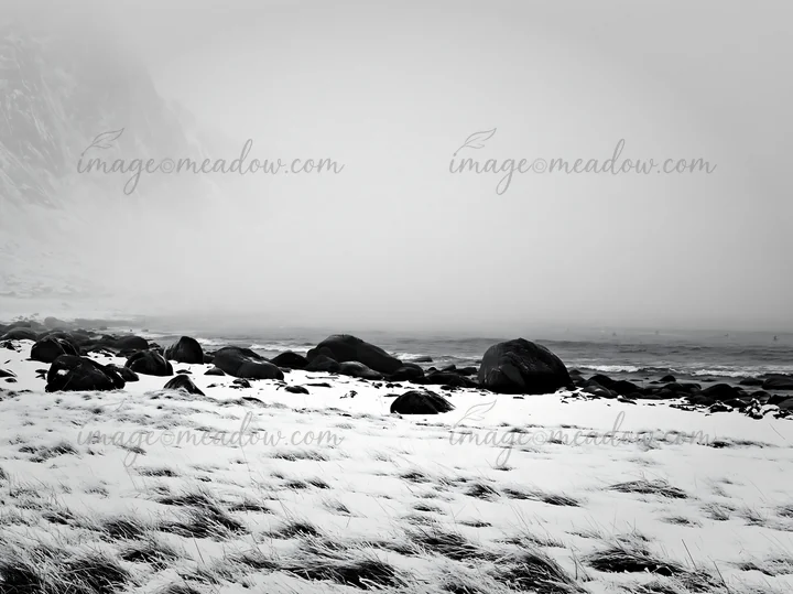 Lofoten coastal meadow covered in snow with rocks scattered along the shoreline. Foggy weather adds a gray atmosphere to the landscape during winter.